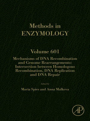 cover image of Mechanisms of DNA Recombination and Genome Rearrangements